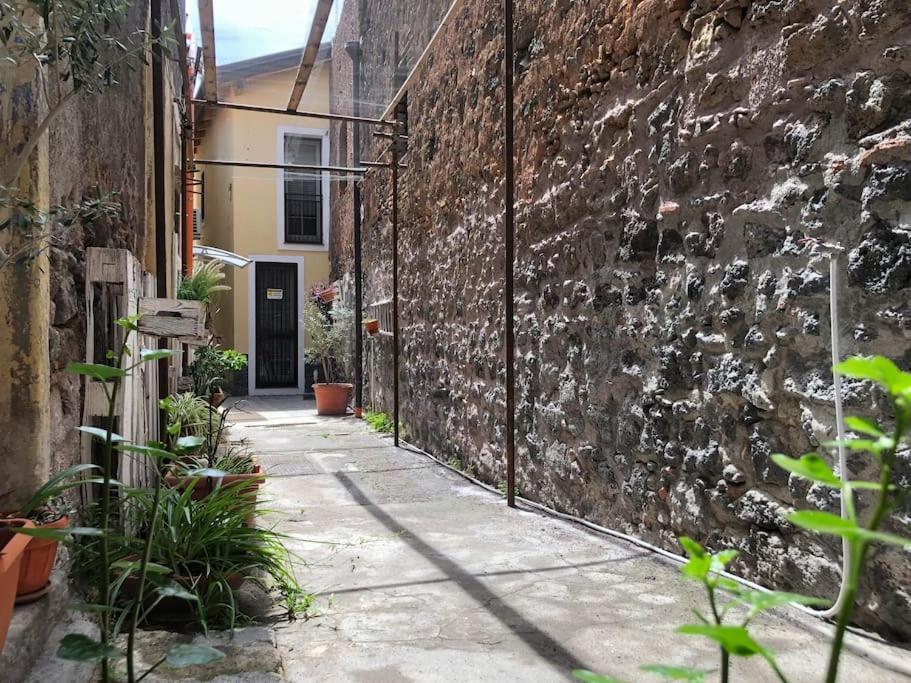 Suite Vicolo Lavico カターニア エクステリア 写真