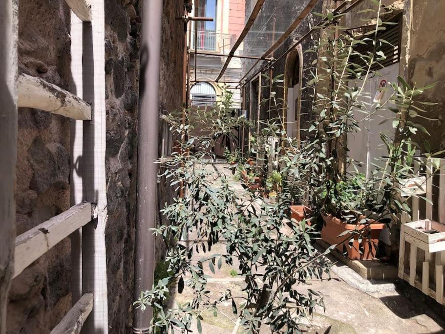 Suite Vicolo Lavico カターニア エクステリア 写真